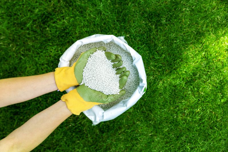 Yard Fertilization in Ventura County, CA