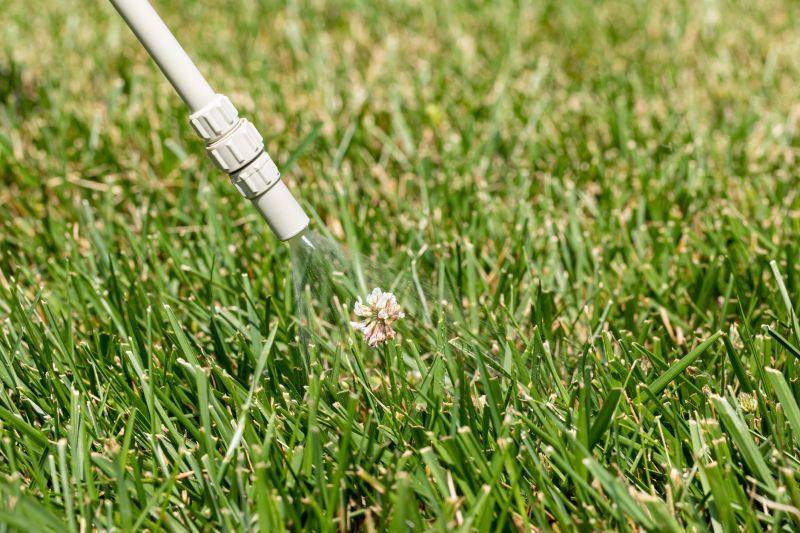 Crabgrass Prevention in Rockwall, TX