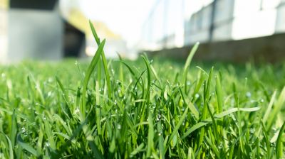 Grass Fertilizing Service in Honolulu, HI