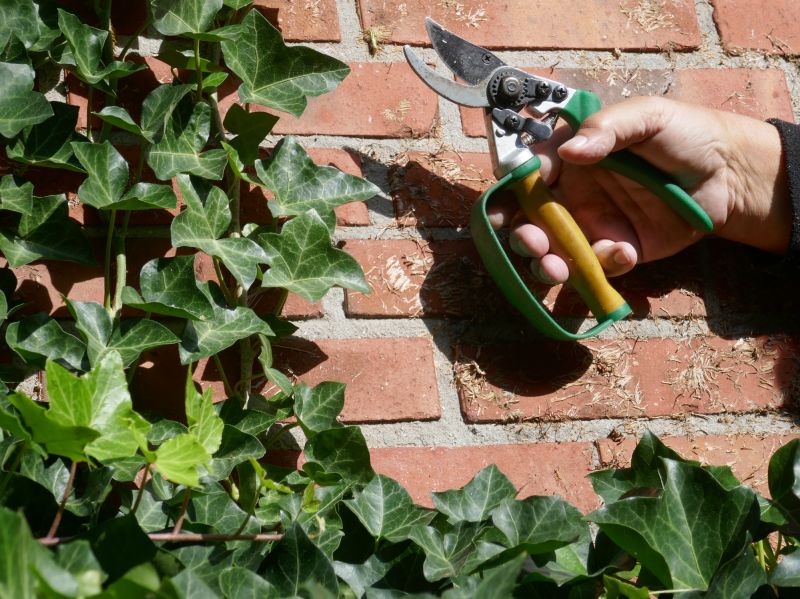 Ivy Removal Equipment