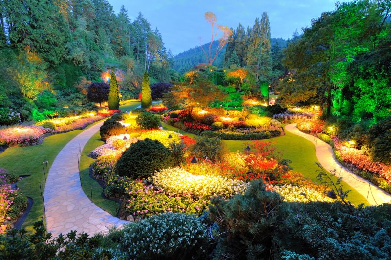 Landscape Electrical Service in Denver County, CO