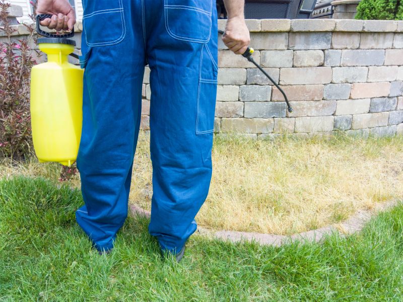 Lawn Disease Treatment in Ventura County, CA