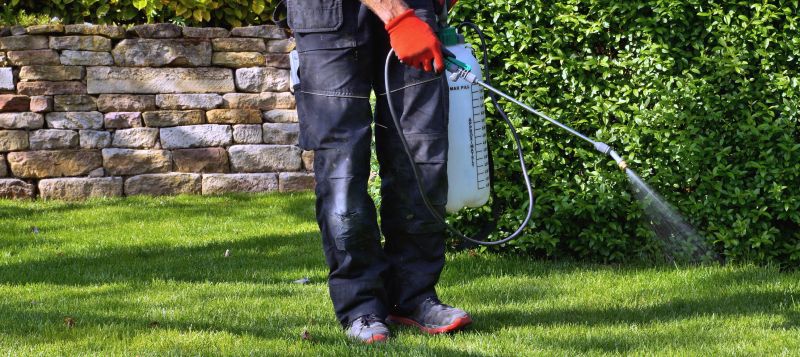 Lawn Herbicide Treatment in Honolulu, HI