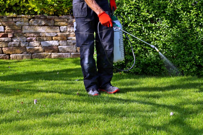 Lawn Herbicide Treatment in Rockwall, TX