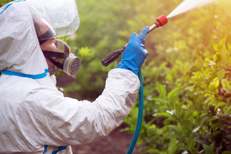 Slope Weed Control in Aiken, SC