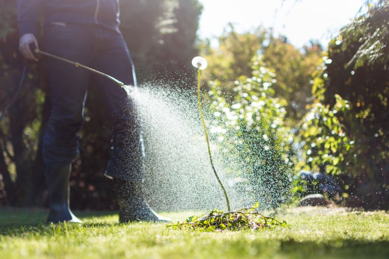 Slope Weed Control in Ventura County, CA