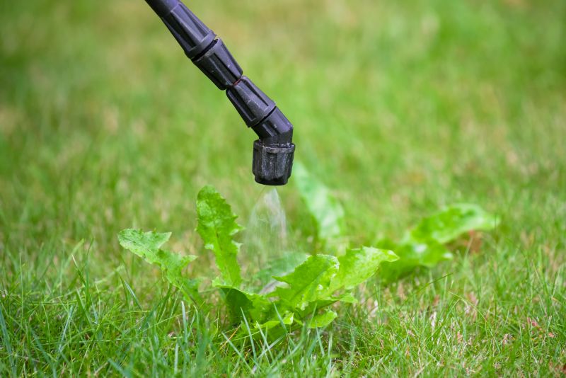 Slope Weed Control in Ventura County, CA