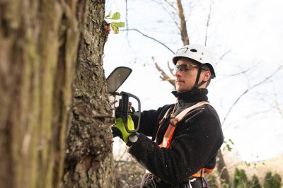 Tree Care Specialists